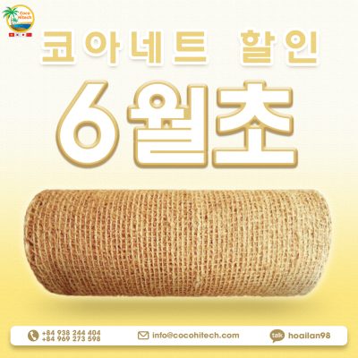 6월초 코아네트 할인