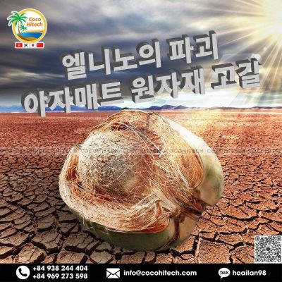 엘니노 파괴 - 야자매트 원자재 고갈