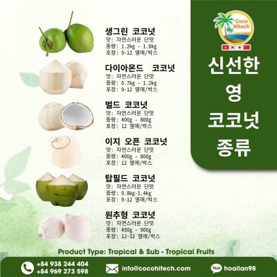 베트남 영 코코넛 종류