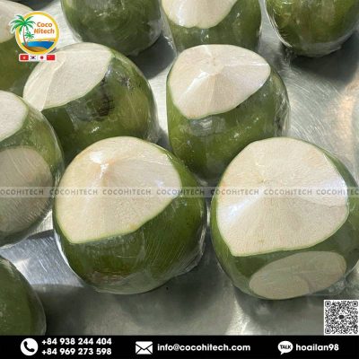 윗부분 깎인 코코넛 (PEELED TOP COCONUT)