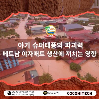 야기 슈퍼태풍의 파괴력 – 베트남 야자매트 생산에 끼치는 영향