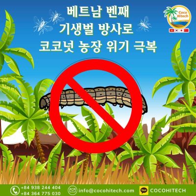 벤째, 2억 마리 이상의 기생벌 방사로 코코넛 농장 위기 극복