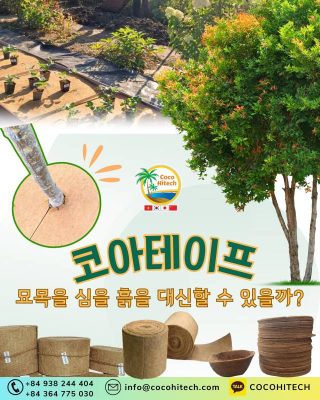 코아테이프, 묘목을 심을 흙을 대신할 수 있을까?