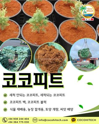 코코피트 수요 폭발 – 친환경 농업 필수 아이템