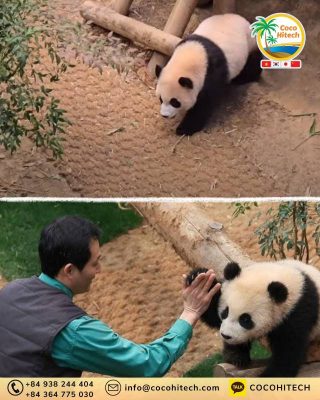 바오 가족 서식지에 야자매트가 필요한 이유