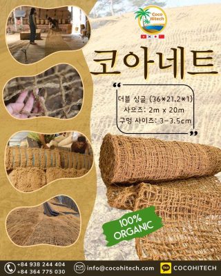 코아네트란?