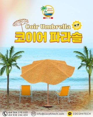 코이어 파라솔이란