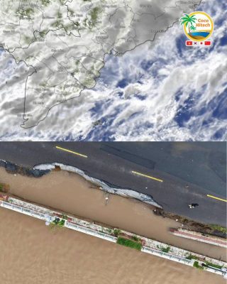 코코하이텍, 실내 건조 시스템으로 품질 유지