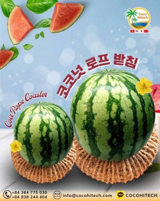 코코넛 로프 받침의 용도