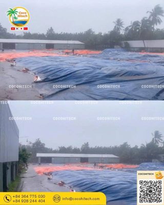 코코하이텍, 실내 건조 시스템으로 품질 유지