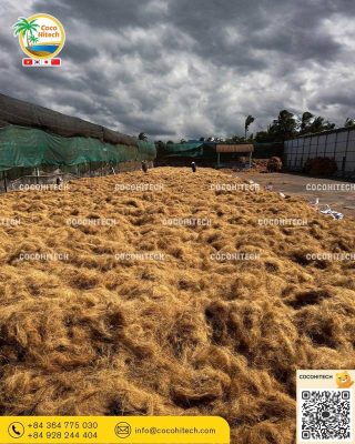 폭우로 인한 벤째 코코넛 산업의 도전