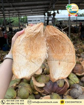 코코넛 섬유란?