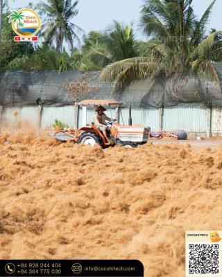 왜 코코넛 섬유가 주목받을까?