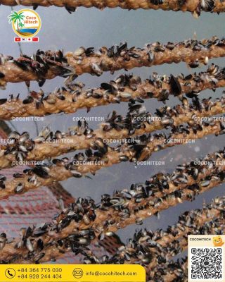 야자로프가 선택되는 이유