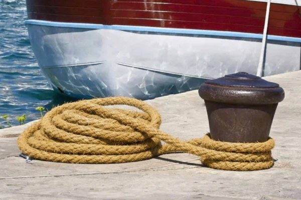 야자로프의 실제 활용 현장