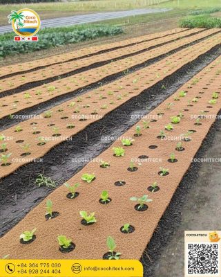 자연 분해 및 퇴비화 가능