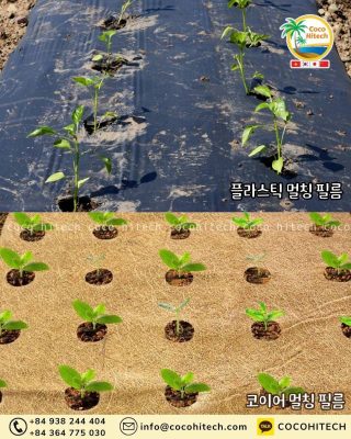 플라스틱 멀칭 vs 코이어 멀칭 필름 비교표