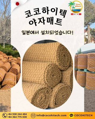 일본에서 점점 더 인기 높아지는 야자매트