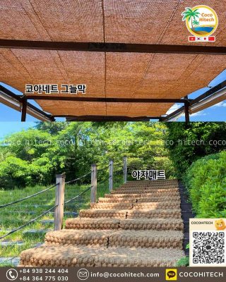 코코넛 산업이 벤쩨 주민에게 주는 가치