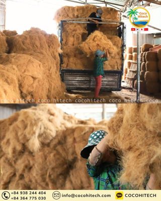 코코넛 산업이 벤쩨 주민에게 주는 가치