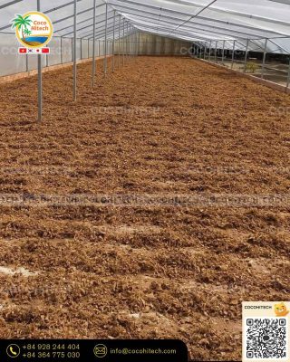 코코칩(Coco Chips)