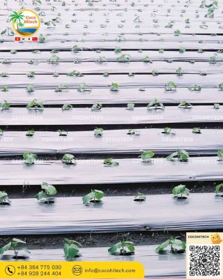 색상·기능별 특수 멀칭 필름 (Specialty Mulch Film)