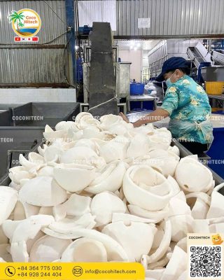 Copra (코코넛 과육)