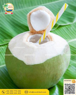 Coconut Water (코코넛 워터)