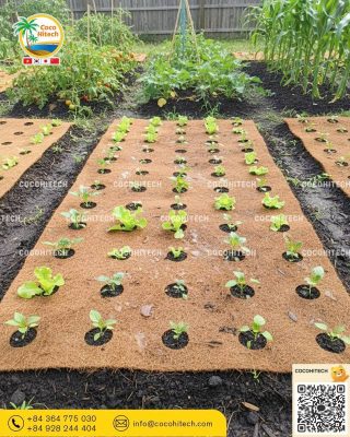 2025 멀칭 필름 선택 가이드