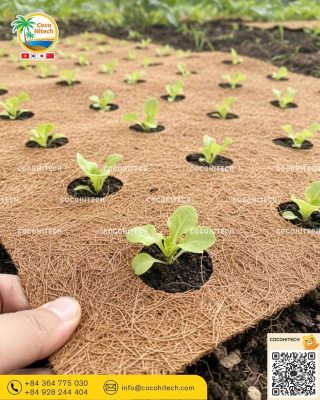 2025년 최적의 멀칭 선택은?