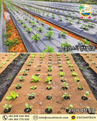 멀칭 필름 종류 비교표 (2025 최신 버전)