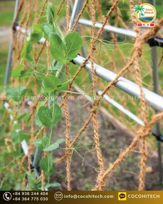 야자로프의 다양한 활용 분야