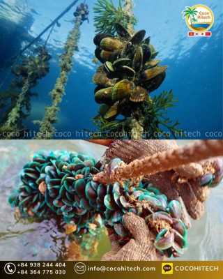 야자로프의 다양한 활용 분야