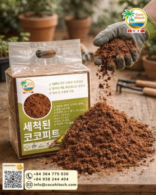 베트남 및 스리랑카 등 주요 산지별 코코넛 원료의 특징과 품질 차이