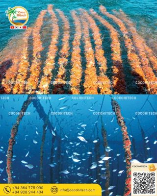 리그닌 함량이 높은 코코넛 피스 소재의 부식 방지 및 항균 효과