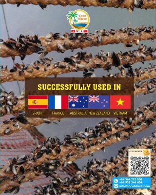 굴, 홍합, 해조류 부착에 최적화된 구조