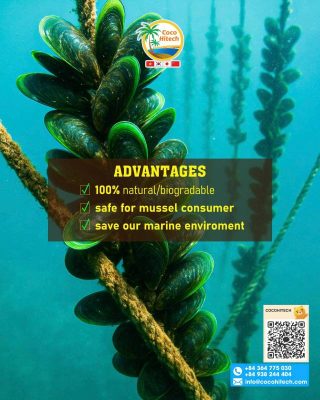 코코넛 섬유 기반 천연 식생 로프가 보여주는 탁월한 해수 저항성