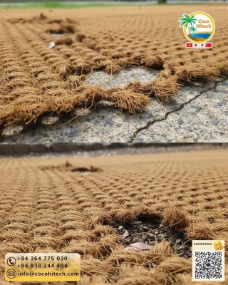 수명이 다한 후 토양 보호를 실천하는 생분해 과정