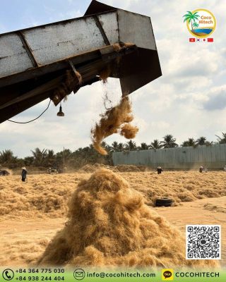 다공성 구조를 지닌 천연 소재의 물리적 화학적 특성