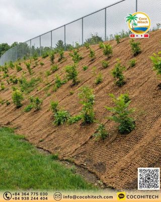 우수한 인장 강도와 보습 효과를 바탕으로 한 사면 안정 구현 원리