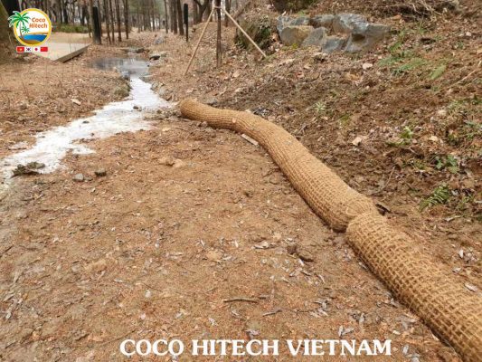 수중에서도 썩지 않고 버티는 높은 리그닌 함량의 비밀