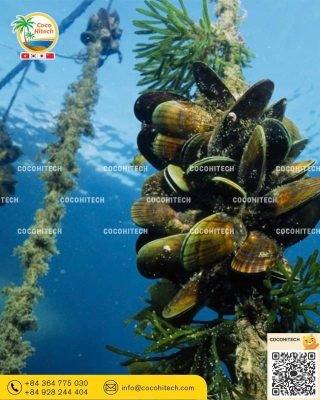 해변 침식 방지용