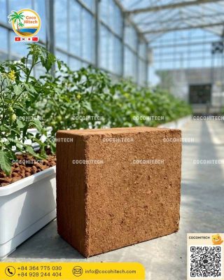 베트남산 압축코코피트 대량 직수입