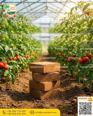 딸기 토마토 등 수경재배 작물별 맞춤형 전기전도도 관리 방법