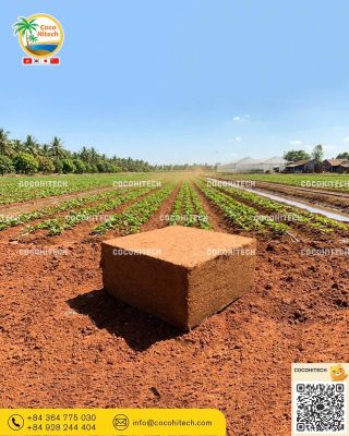 무토양 수경재배 및 육묘용 코이어 펠릿 활용 사례