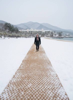 겨울철 빙판길 미끄러움 억제를 위한 공공 기관 조경 사업 적용