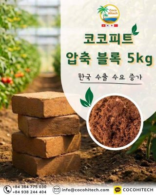 코코피트 블록 한국 수출 시장이 성장하는 이유