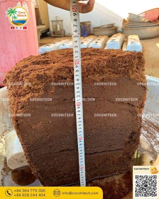 수분 저장 능력이 뿌리 활착과 초기 생육에 미치는 효과