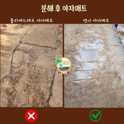시간 경과에 따른 자연 분해 과정