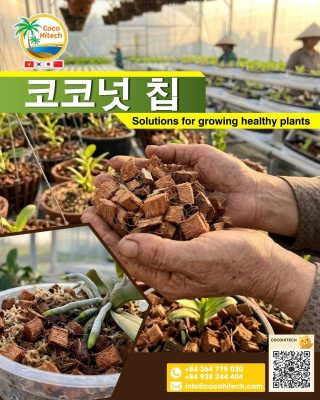코코칩(Coco Chips)
